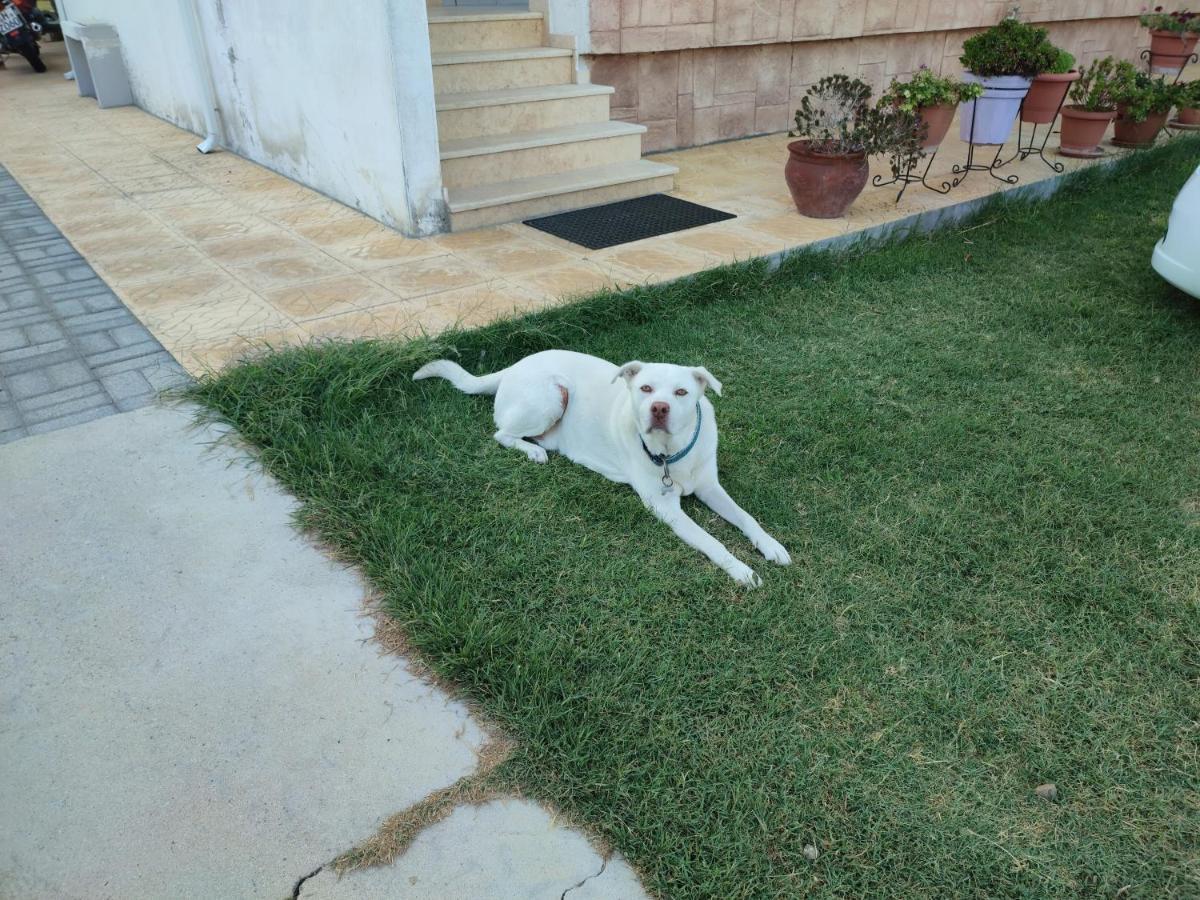 Appartamento Asterios House Kriopigi Esterno foto